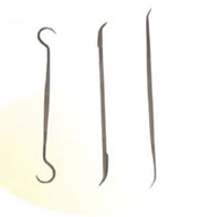 ����鿴��