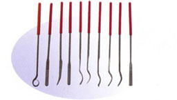 ����鿴��